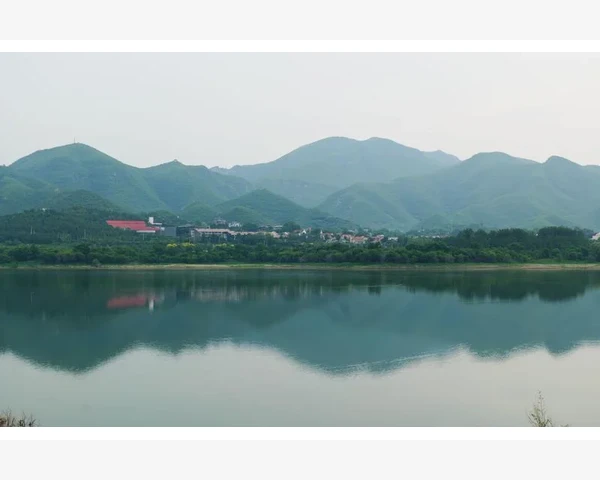 吃了药胃疼怎么调理缓解