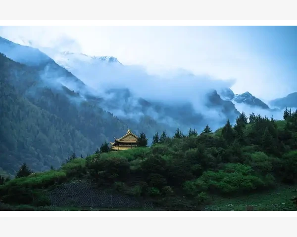 吃了补气中药后为何放屁多？专家为您解答！